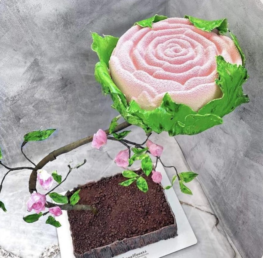 A placeholder cakes with #9A5C66 background.